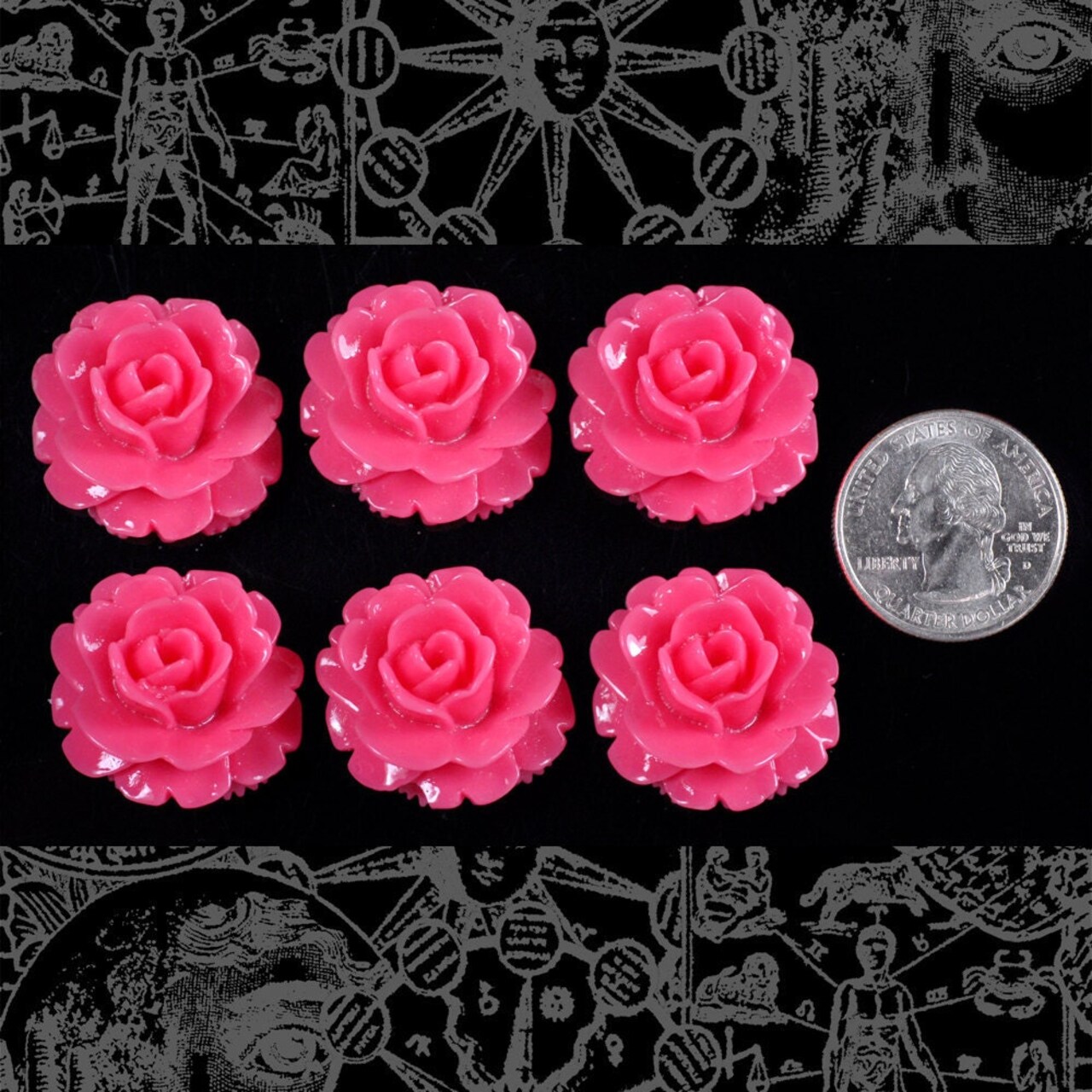 Bright Coral 28mm Rose Cameo Cabochons Set of Six - XXX - Flwr49